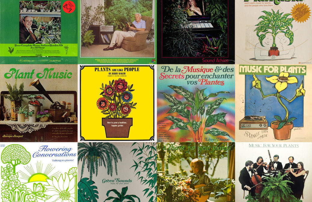 Botanical Rhythms: A Field Guide to Plant Music